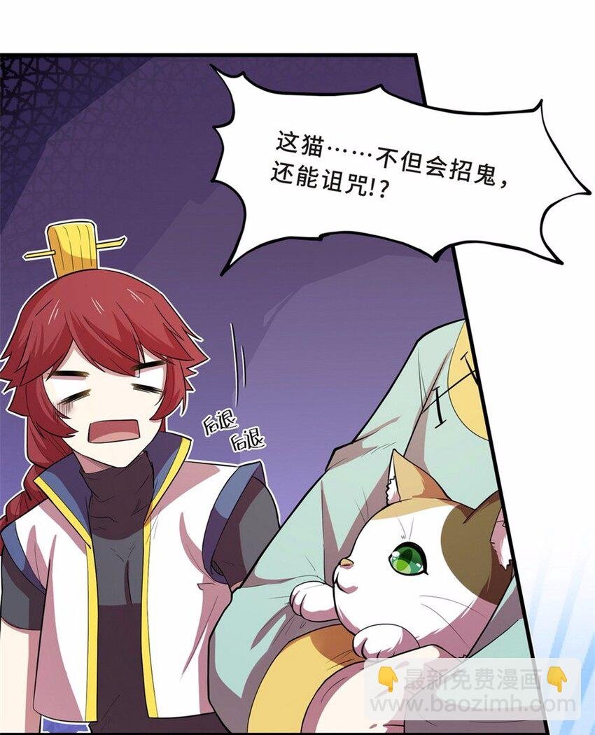 043 养猫（三）