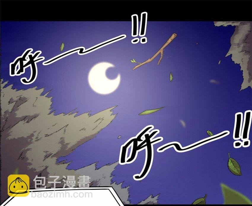 044 养猫（四）