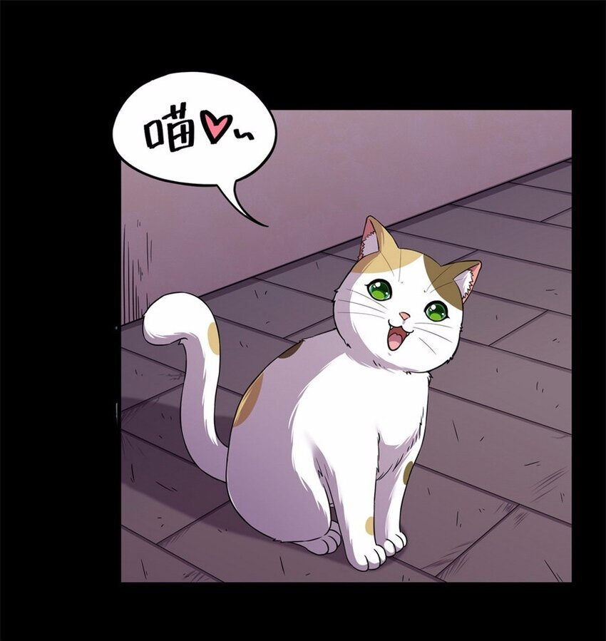 044 养猫（四）
