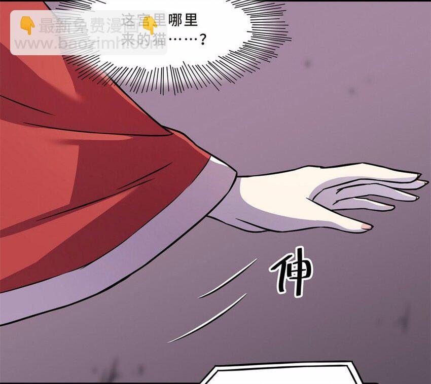 044 养猫（四）