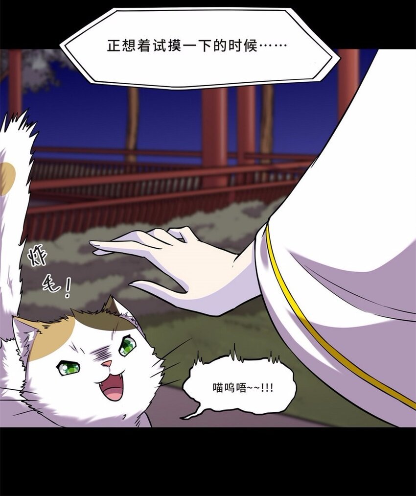044 养猫（四）