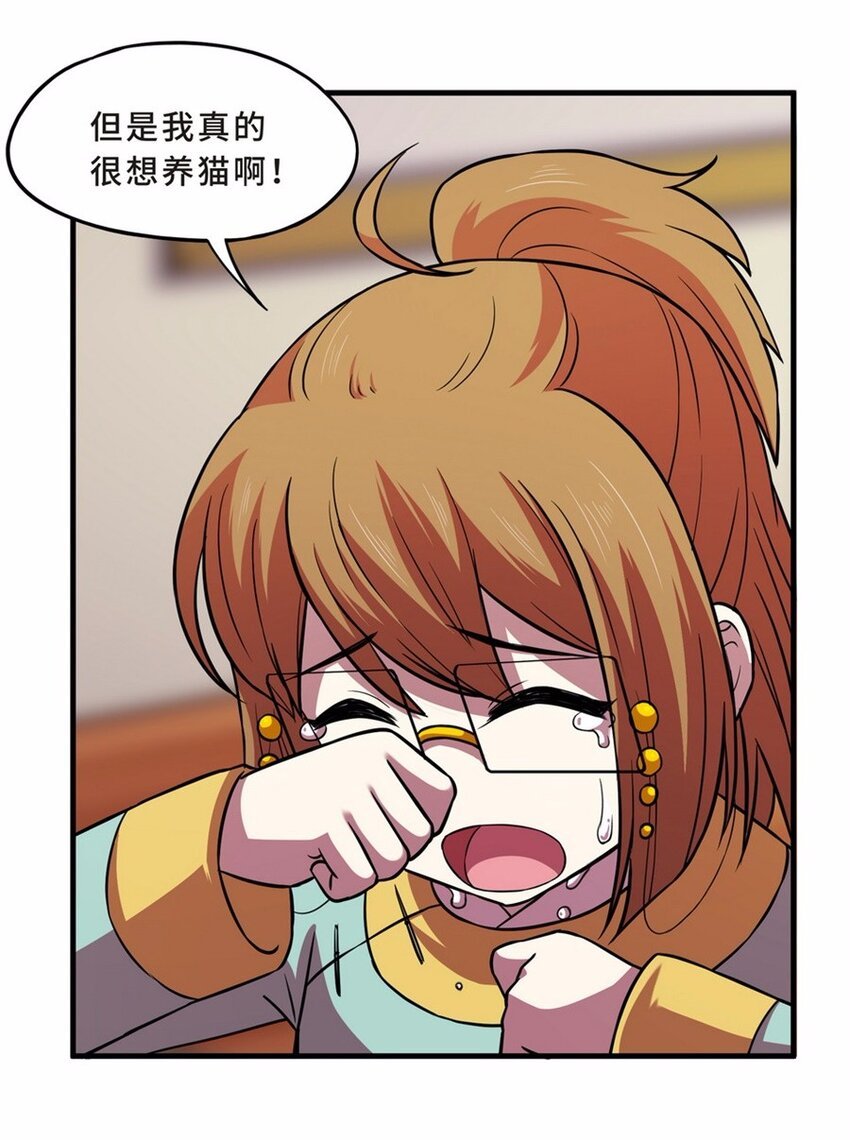 044 养猫（四）