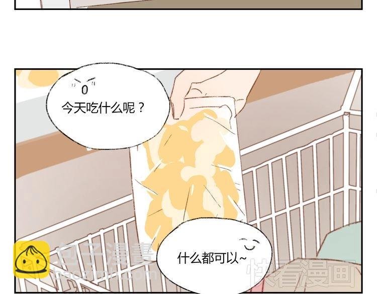 第37话 完结也是新的开始！