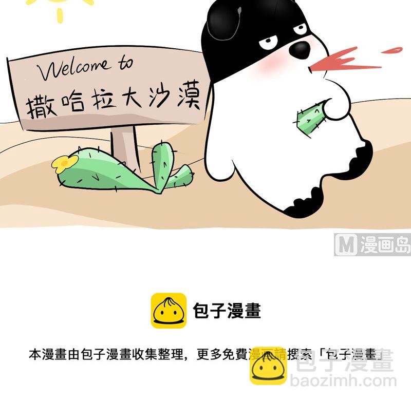 神灯