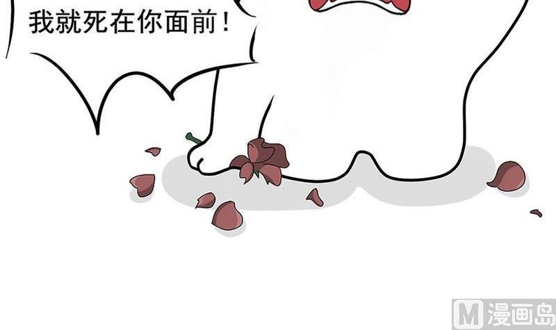 你伤害了我却一笑而过
