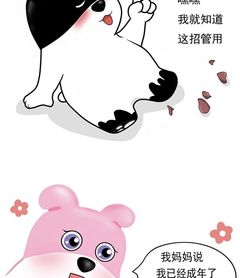 你伤害了我却一笑而过
