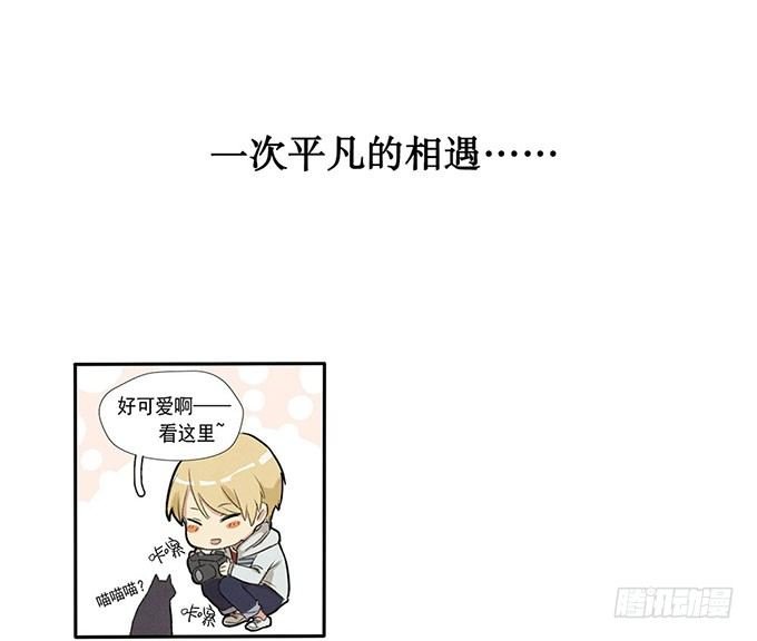 预告