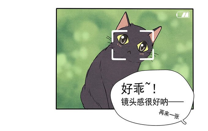 预告