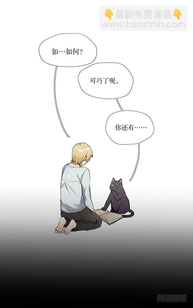 预告