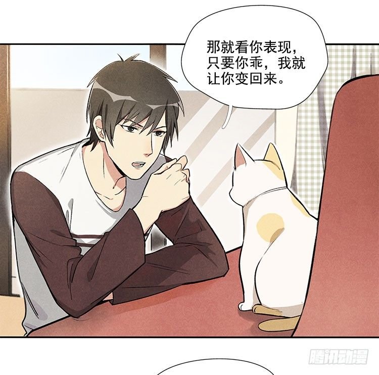 怎么会这样