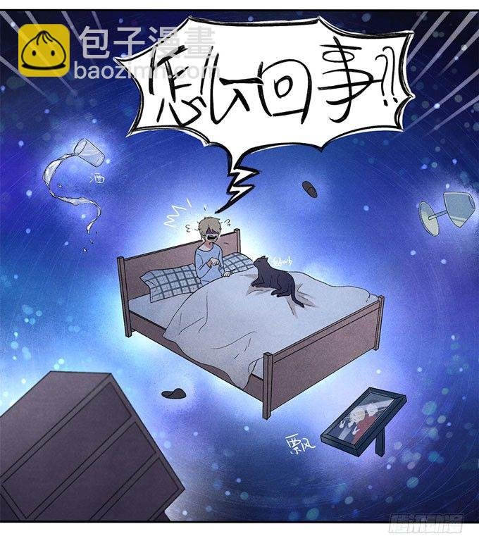 猫的报恩？
