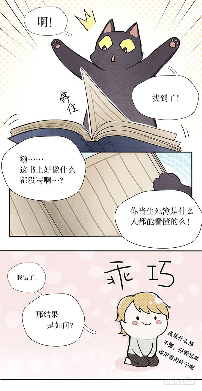 猫的报恩？