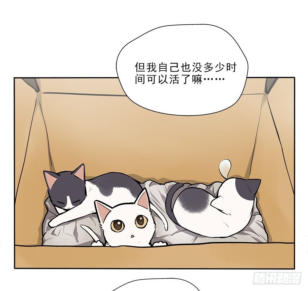 不定期番外篇3.0