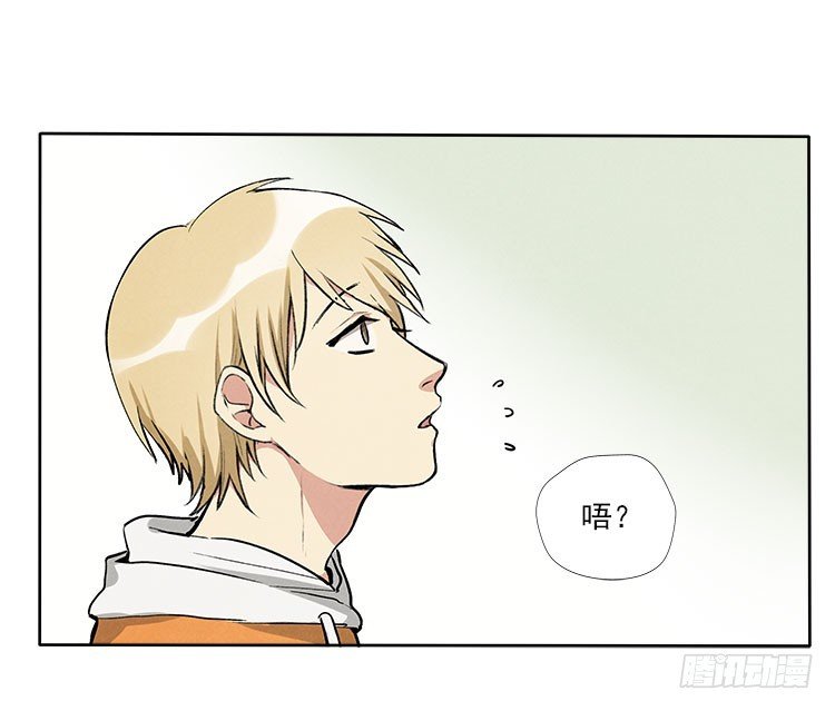选项