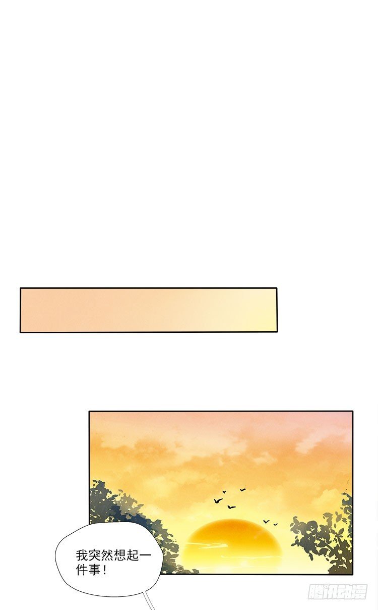 选项