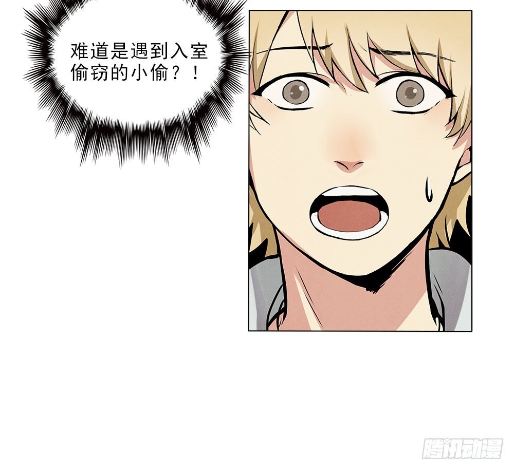 引入