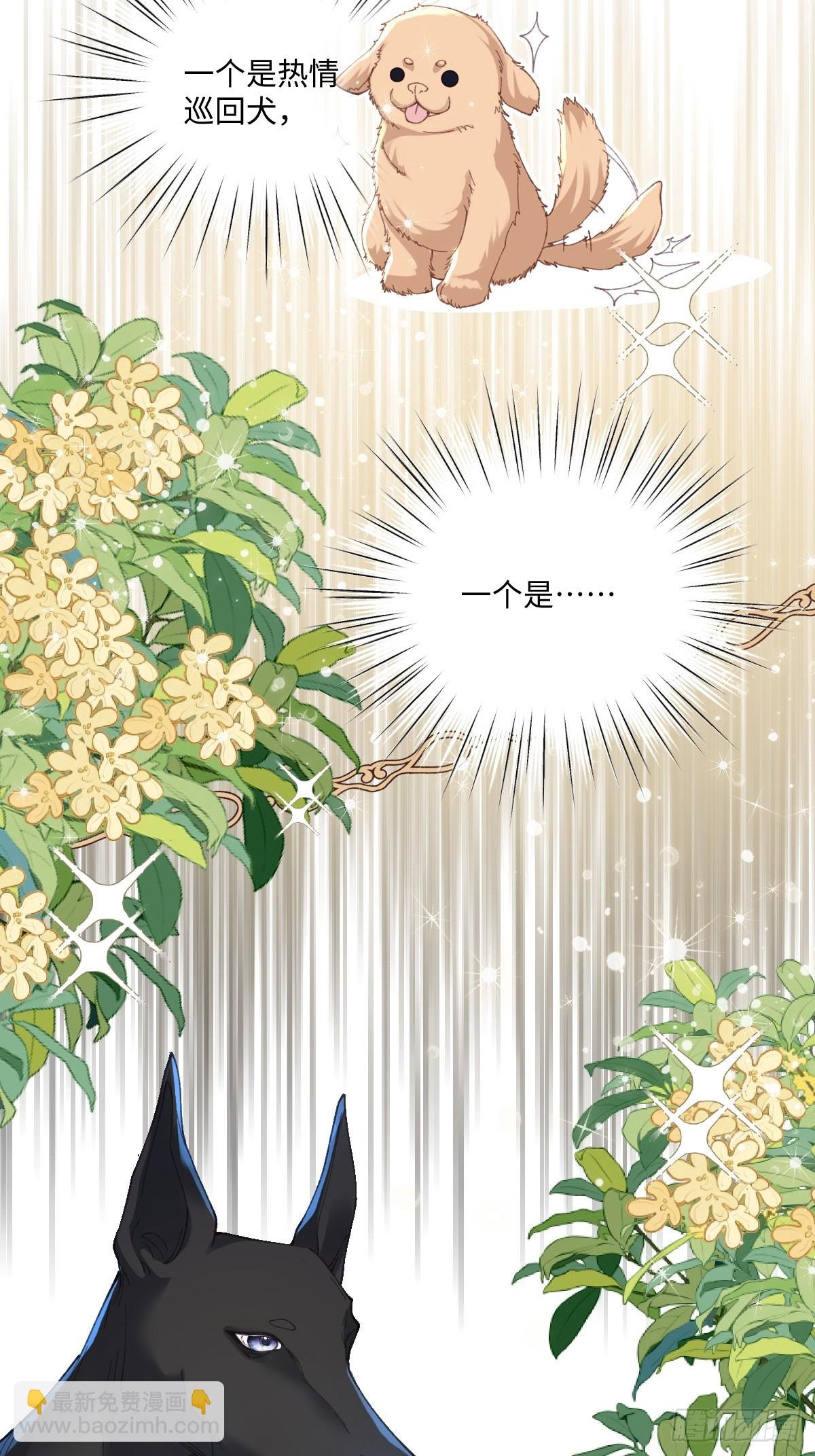 20 船匪