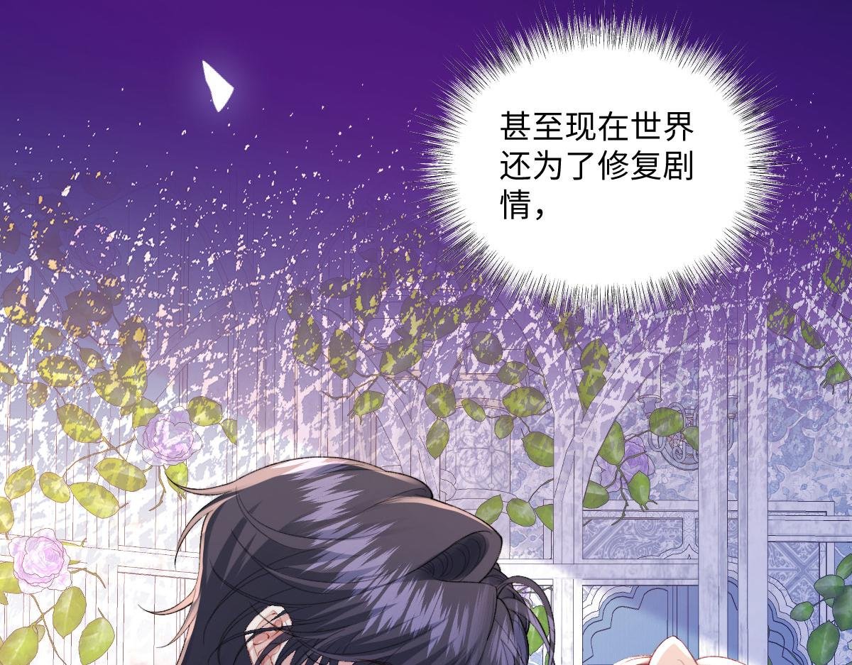41 被设定好的一生