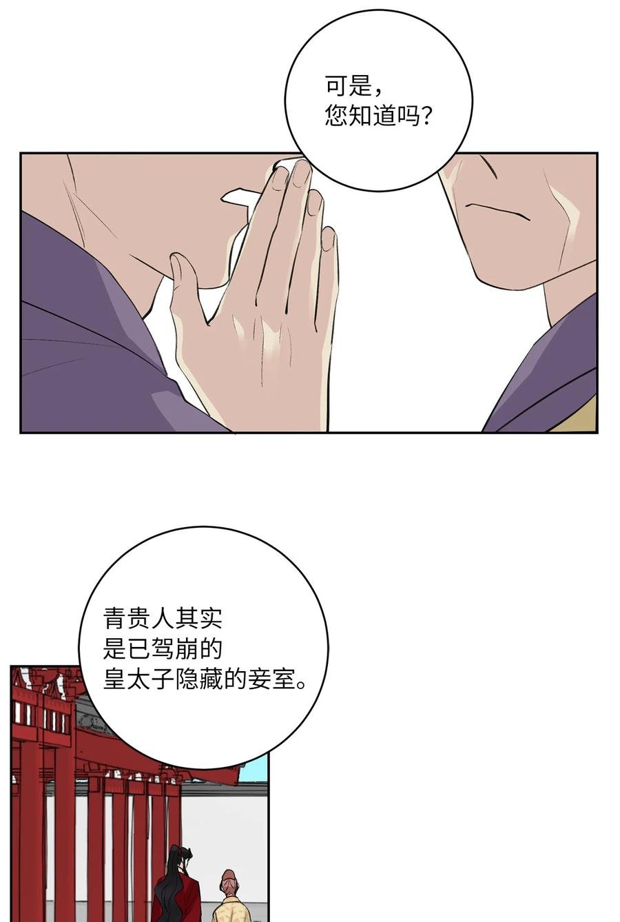 48 后宫