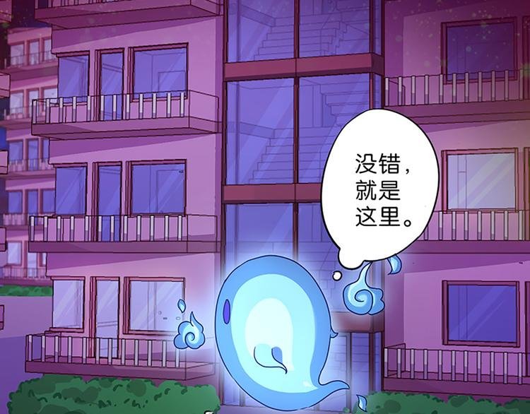 第2话 布偶！