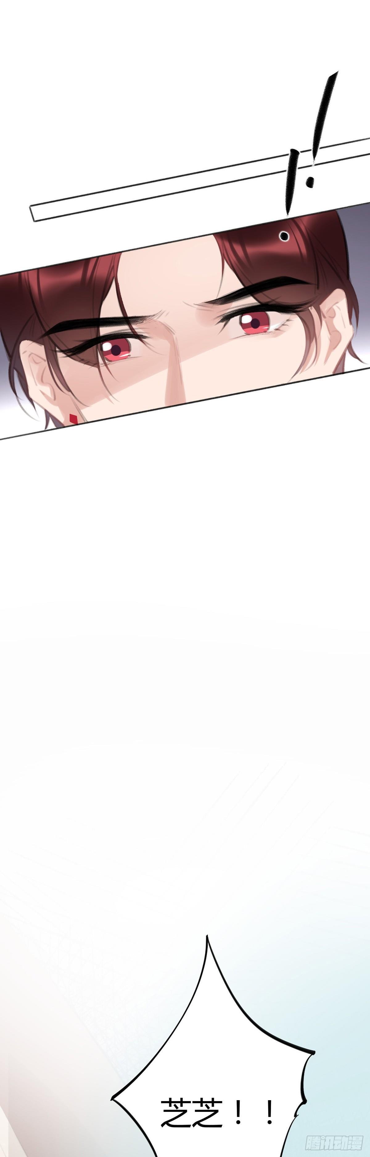 芝芝死了