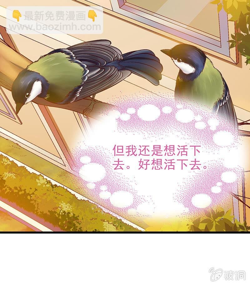 第十三回