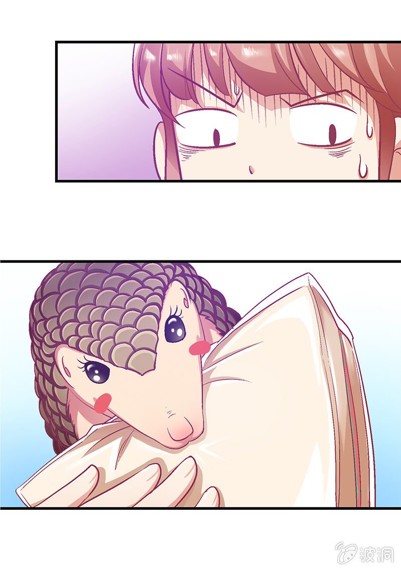 第二十回