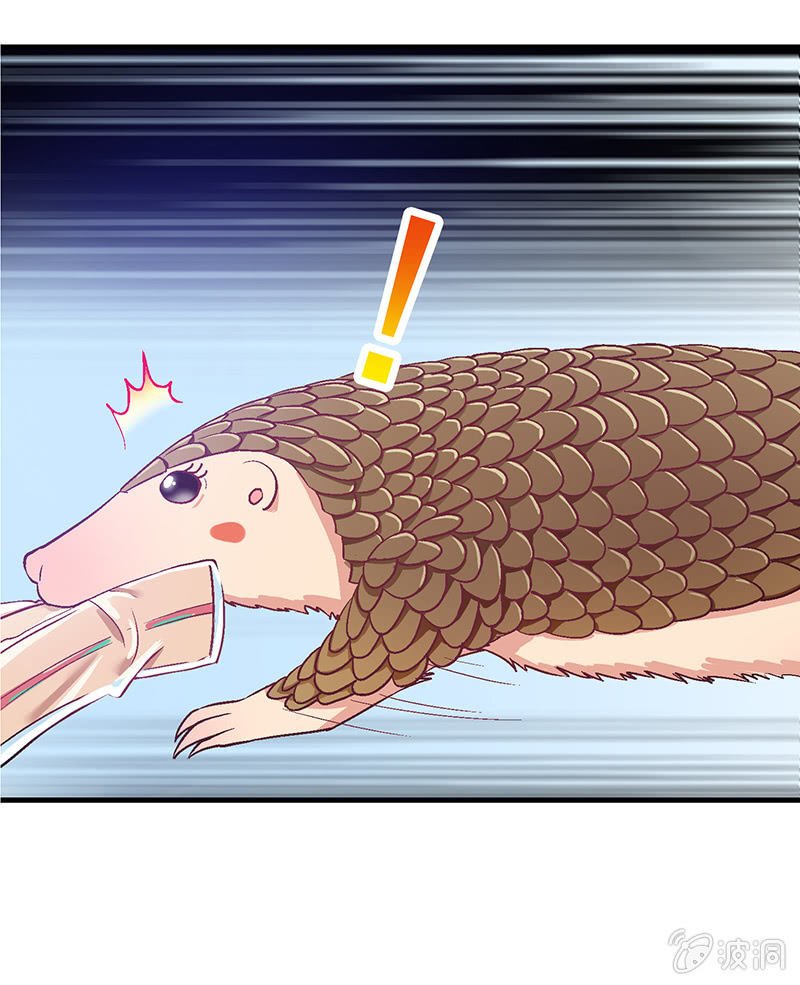 第二十回