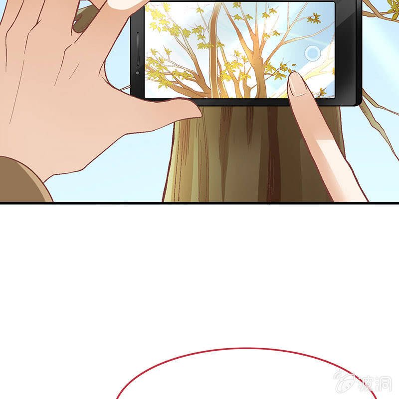 第八十一回