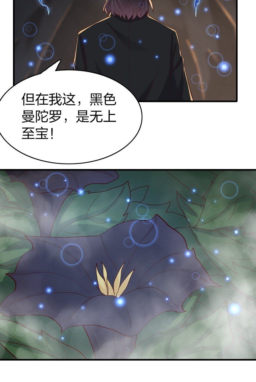 27 你看那满山仙花