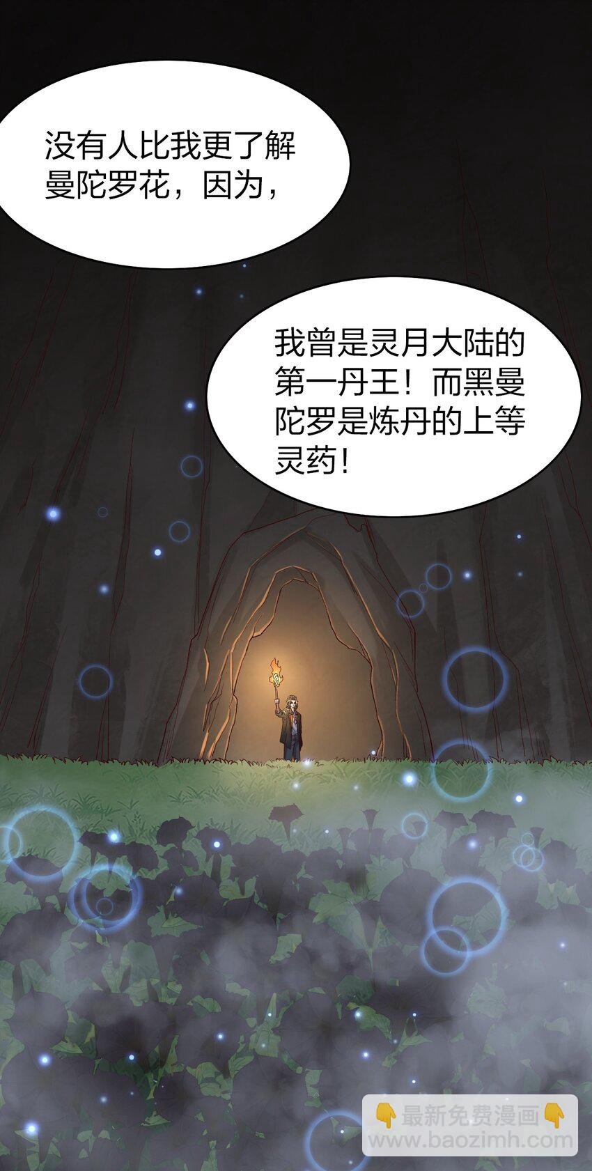 27 你看那满山仙花
