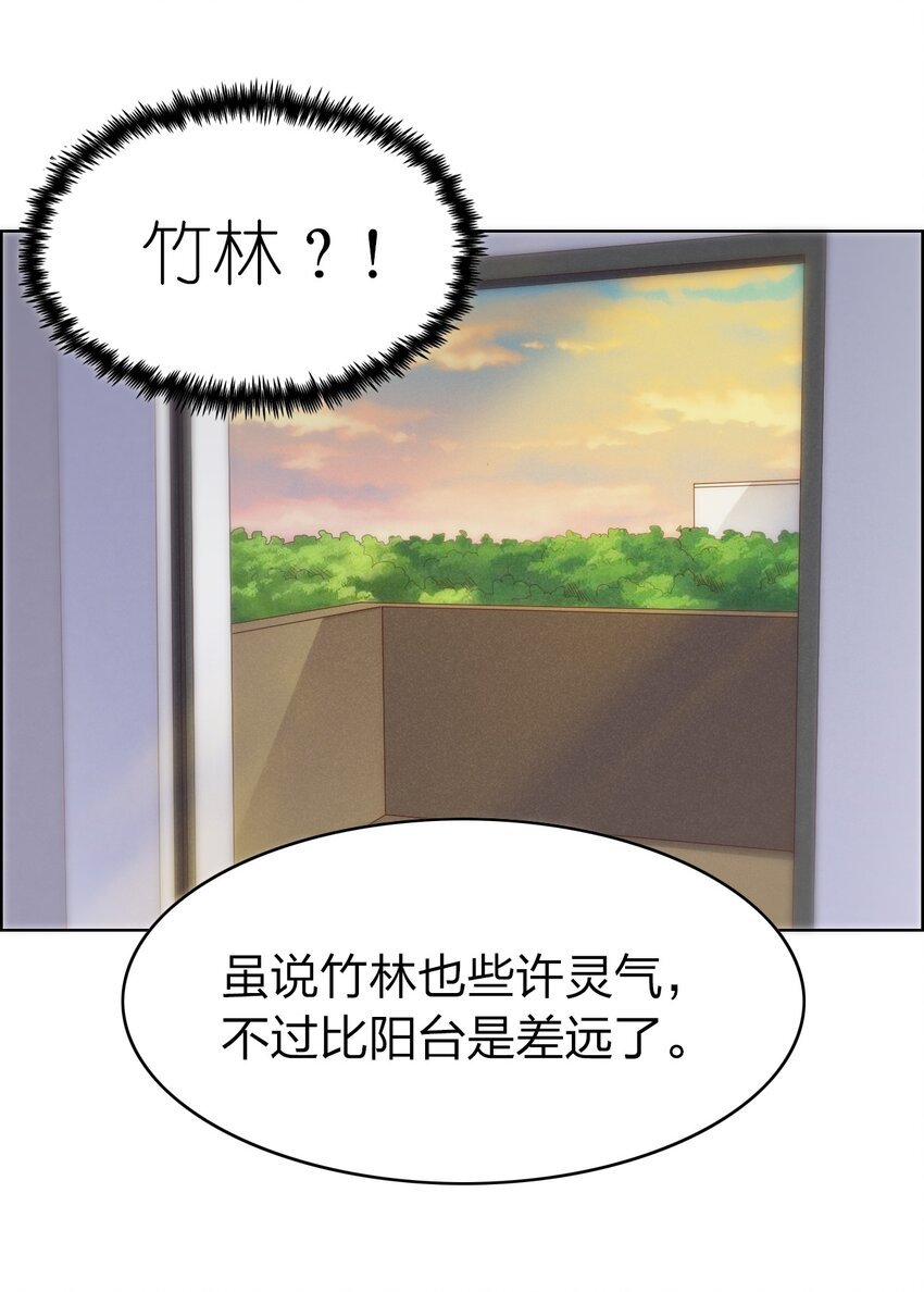 003 竹林中的老者