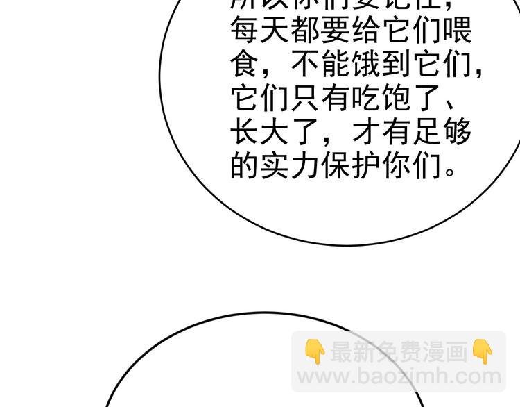 018 战宠契约