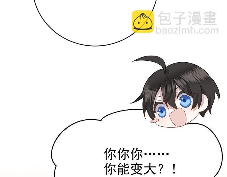018 战宠契约