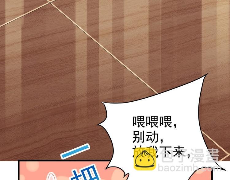 018 战宠契约