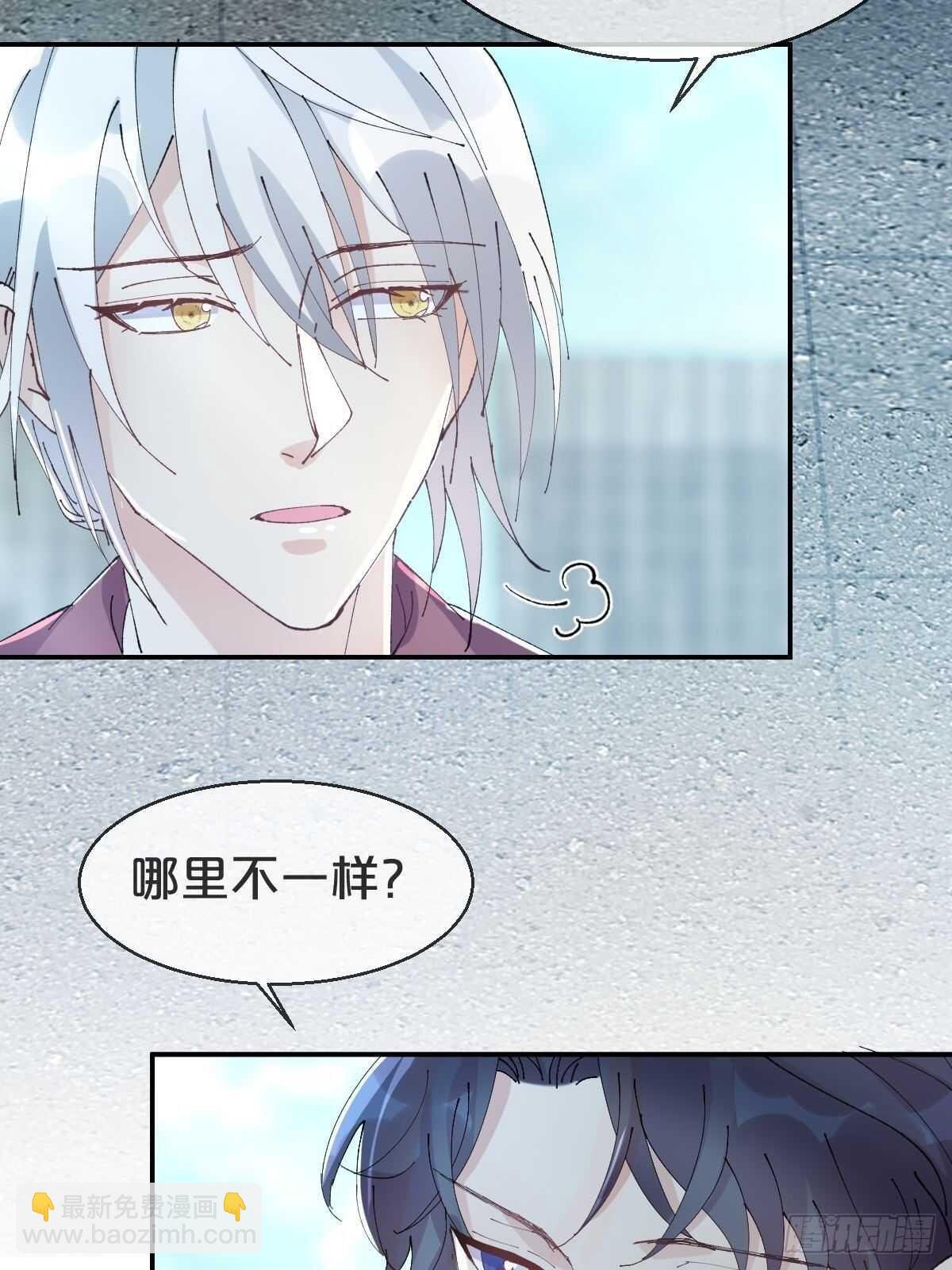 第35话-洪助理惊心动魄的一天