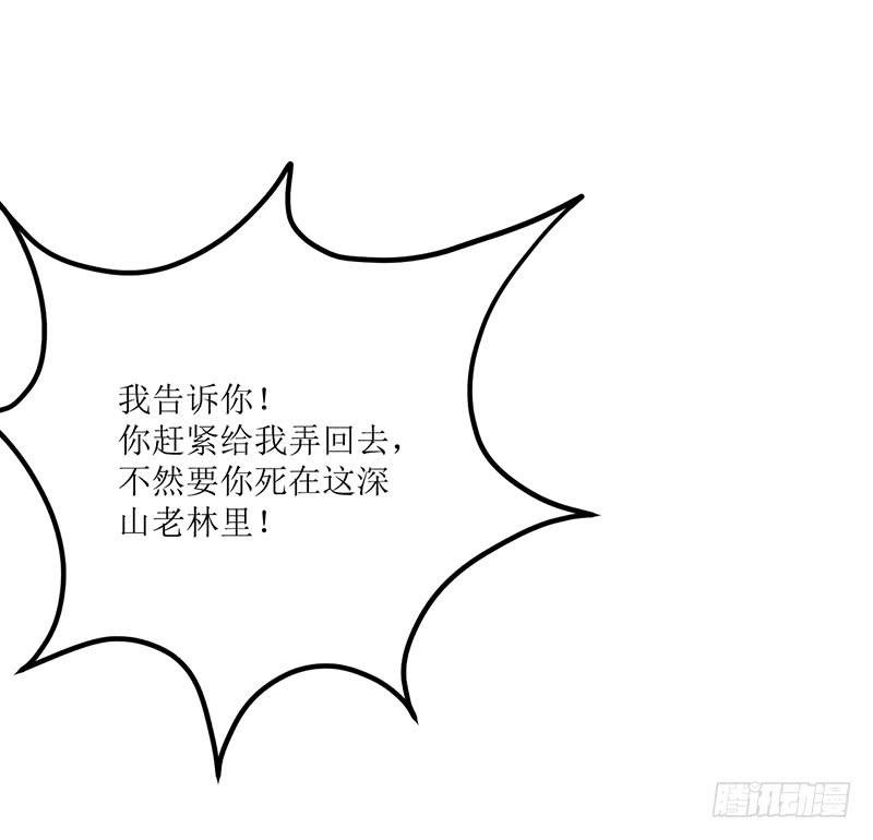 神奇的草药 它的功效是...