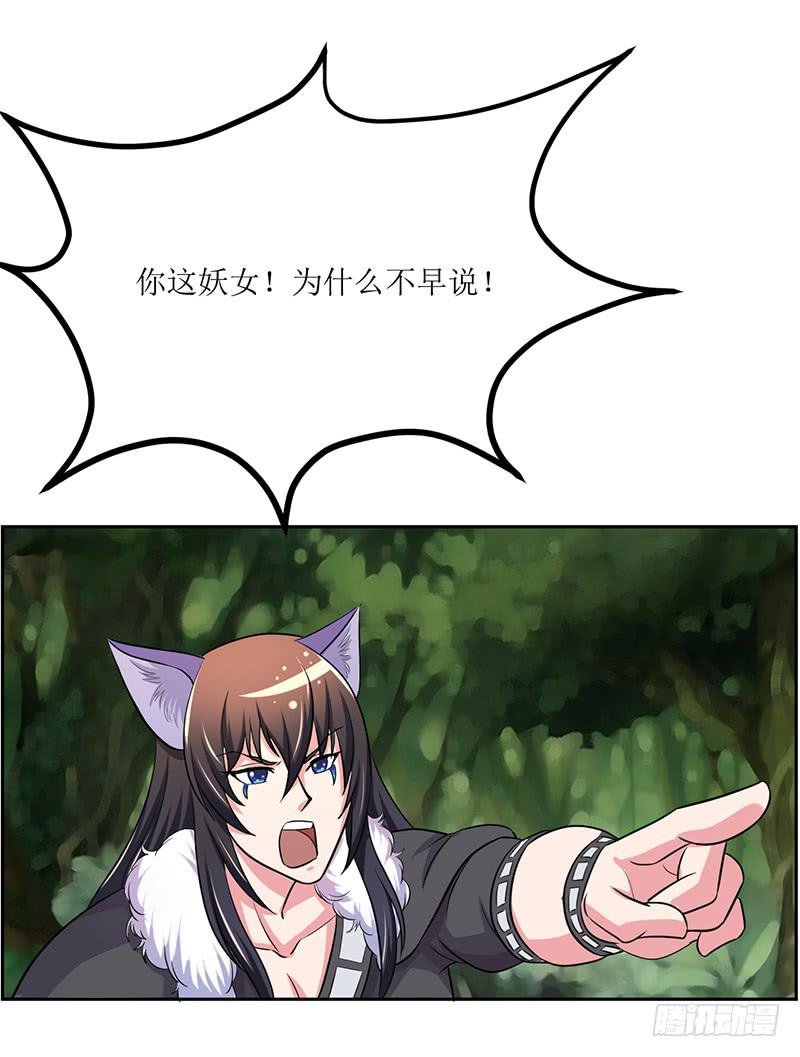神奇的草药 它的功效是...