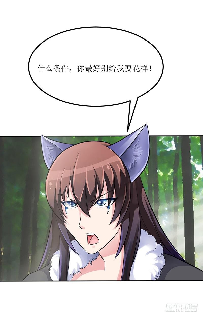 神奇的草药 它的功效是...