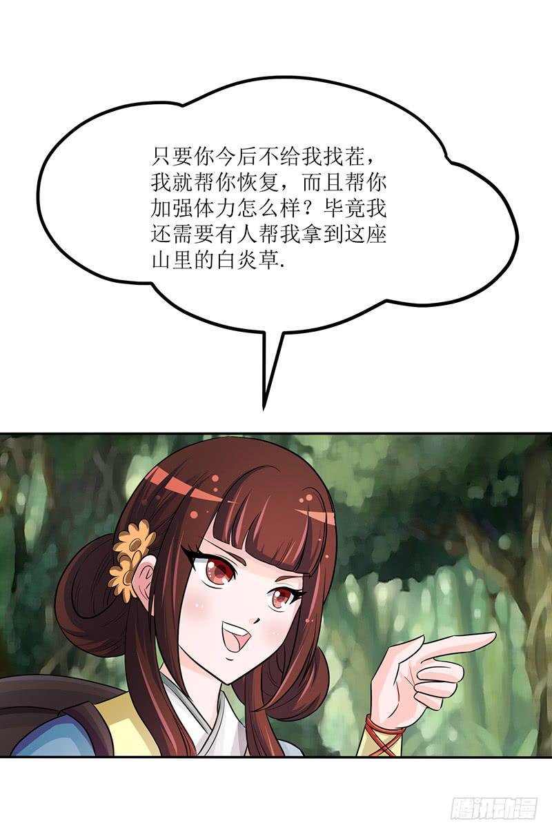 神奇的草药 它的功效是...