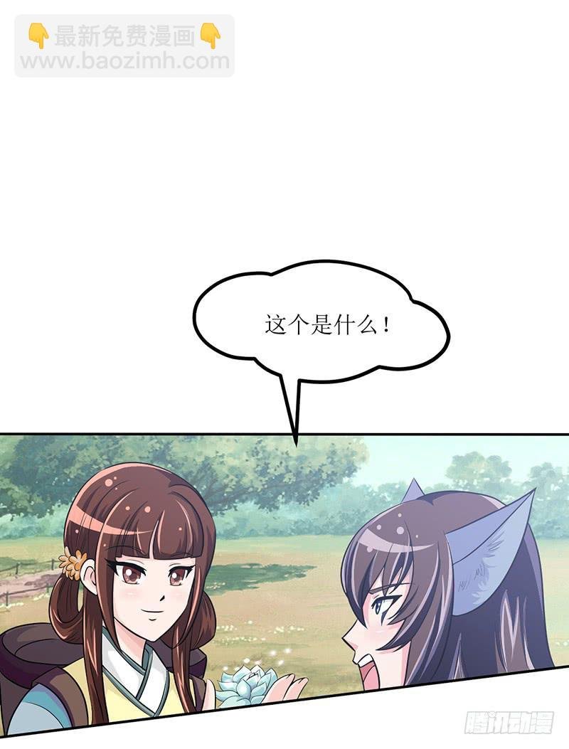 神奇的草药 它的功效是...