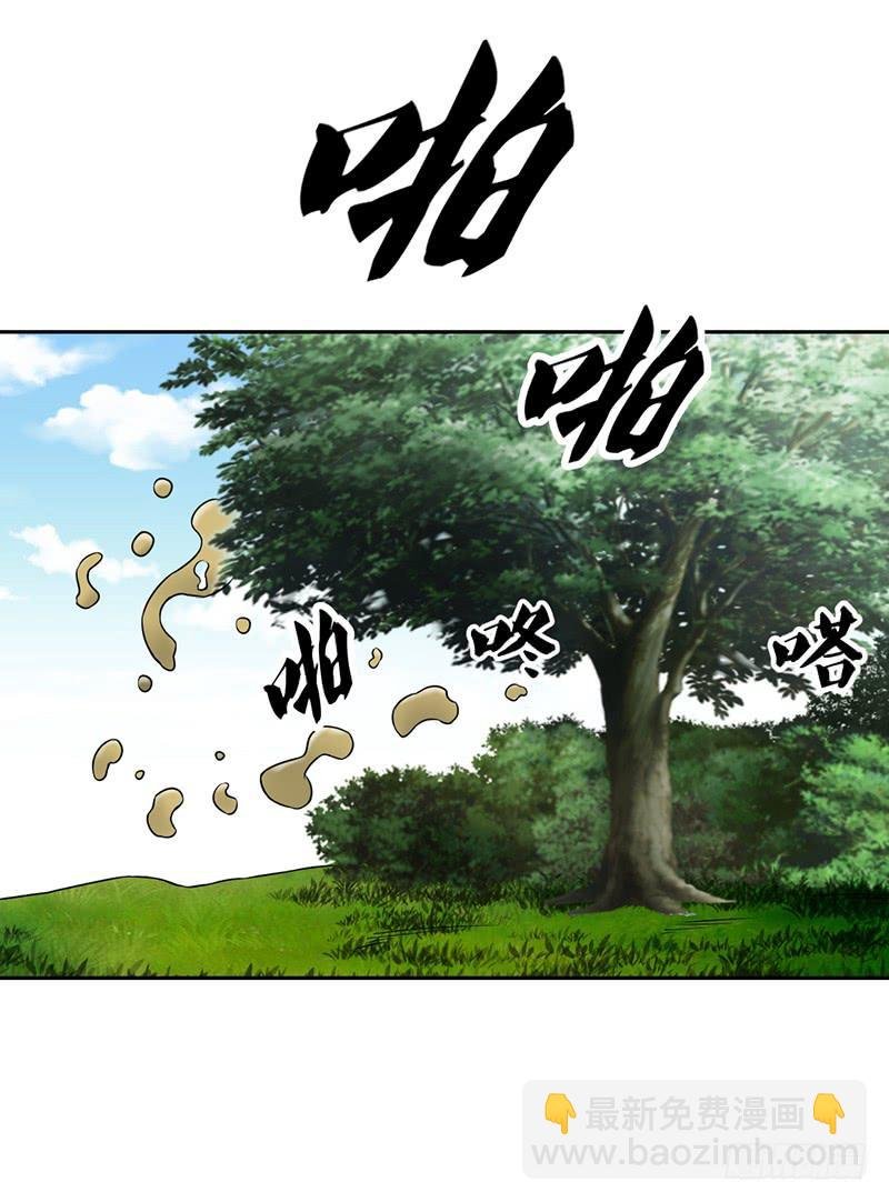 神奇的草药 它的功效是...