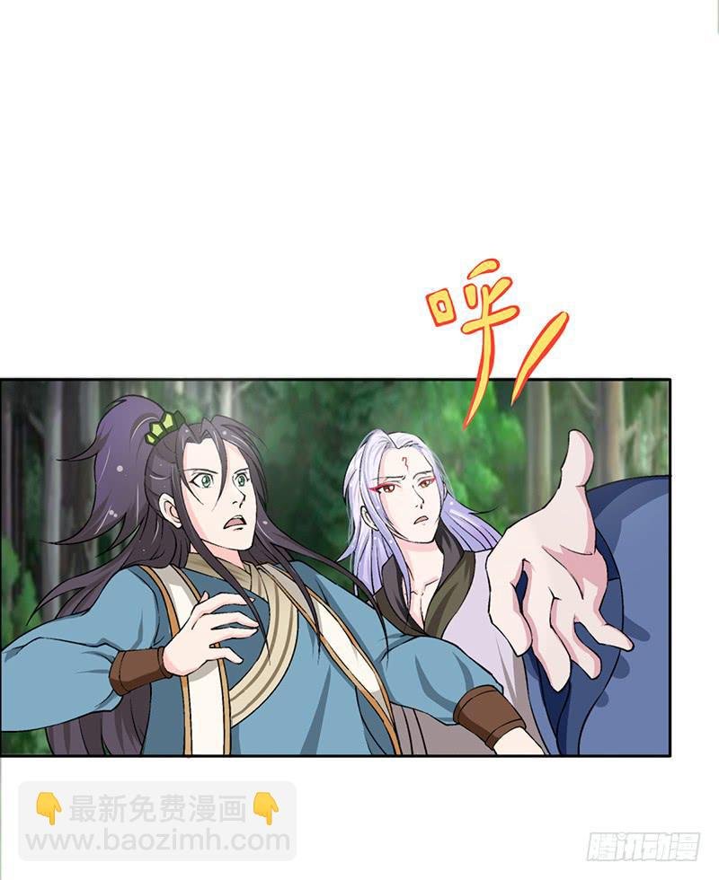 传说中的白岩草出现啦！