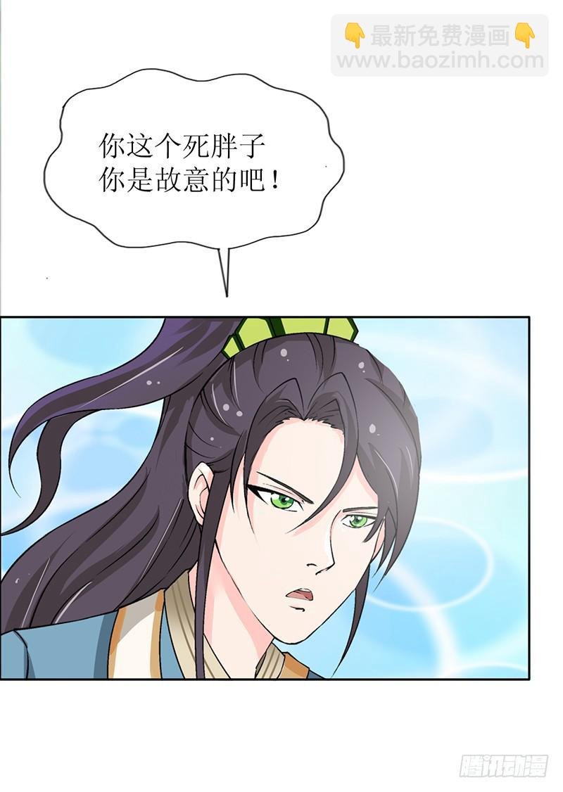传说中的白岩草出现啦！