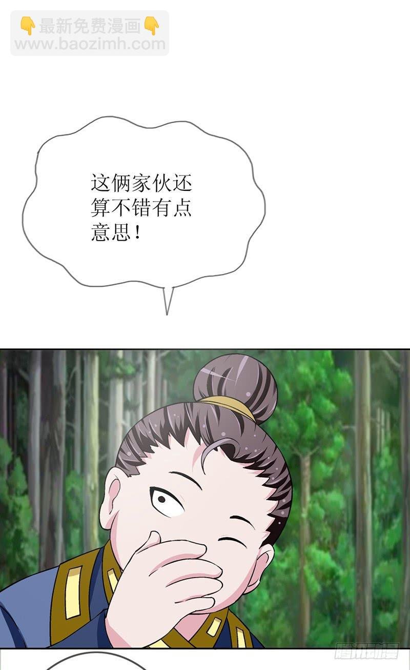传说中的白岩草出现啦！