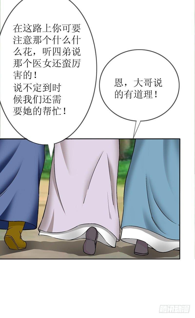 传说中的白岩草出现啦！