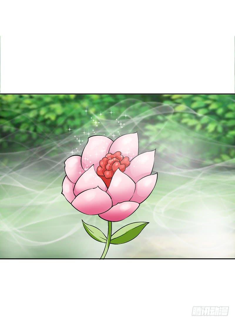 传说中的白岩草出现啦！