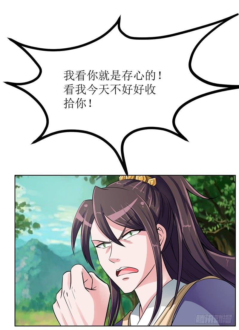 传说中的白岩草出现啦！