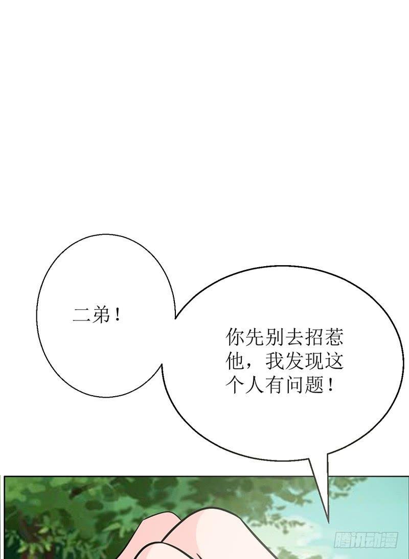 传说中的白岩草出现啦！