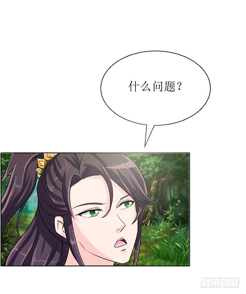 传说中的白岩草出现啦！